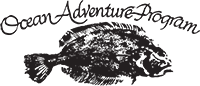 Ocean Adventure Program